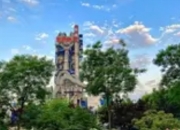 “水泥灰”变身“环保绿”：新材料与特种水泥引领行业转型