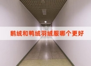 鹅绒和鸭绒羽绒服哪个更好?