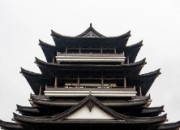 新文化：多元共生的时代画卷