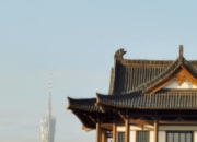 新文化：塑造未来人才的摇篮