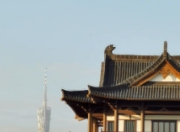 新文化：塑造未来人才的摇篮